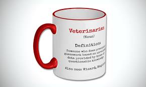Best gift ideas for veterinarians: 29 Unique Gifts For Veterinarians Best Gift Ideas For Vets