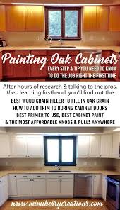 Painting Oak Cabinets Everything You Need To Know To Update Your Kitchen Cabinets The Right Way And In 10 Days Painting Oak Cabinets Oak Cabinets Painting Kitchen Cabinets