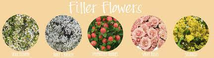 Filler flowers for wedding arrangements. 130 Types Of Flowers For Wedding Bouquets Fiftyflowers