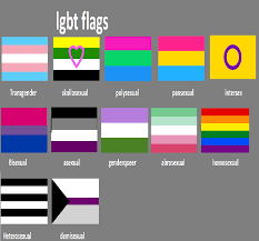 If you don't like something or the lgbtq+ community, keep it to yourself.⚠️. Lgbt Flags By N0 Username On Deviantart