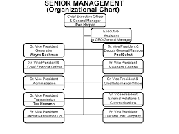 Senior Management Organizational Chart Chief Executive