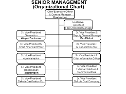 senior management organizational chart chief executive