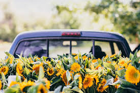 Check spelling or type a new query. Fresh Flowers In Pickup Truck By Lior Lone