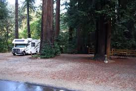Most people know redwood as home to the tallest trees on earth. Santa Cruz Redwoods Rv Resort Campsite Photos