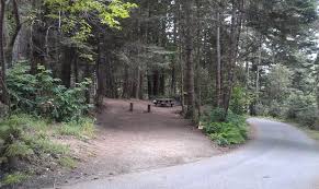 Van damme state park campground has 74 campsite along the little river in a lush redwood and fern forest along the california coast. Campsite 33 Picture Of Van Damme State Park Mendocino Tripadvisor