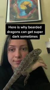 Why Is My Bearded Dragon So Dark