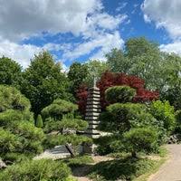 Pflegetipps für pflanzen und gestaltungsideen スイ. Japanischer Garten Garden In Bonn