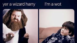 *sparkling accessories for the rider. 5 Philosopher S Stone Memes