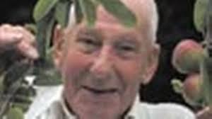 The 'fruit salad' tree experts say should not exist