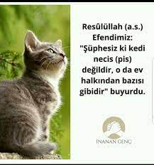 ozlu sozler panosundaki pin