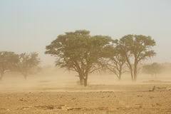 Tempête de sable élémentaire est un mod d'augmentation de warframe pour inaros qui confère à tempête de sable une chance d'infliger les effets de statut des éléments de l'arme de mêlée équipée (en prenant aussi en compte les mods installés). Tempete De Sable Desert De Kalahari Image Stock Image Du Tempete Desert 97010425