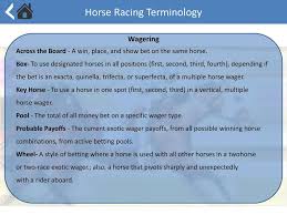 basic horse wagering how to place a wager learn about odds