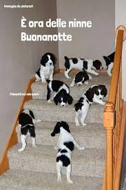 Pin Di Brunilda Jakupi Su B Notte Senza Citazioni Immagini Buongiorno Buonanotte