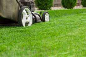 With seedlings up and growing, lengthen the time between waterings. How To Plant Grass Seed On Existing Lawn Jonathan Green