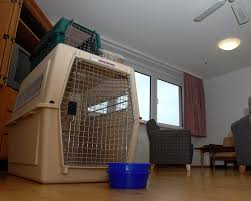 Hotels in landstuhl bequem buchen. Ramstein Inns Offers Pet Lodging Ramstein Air Base Article Display