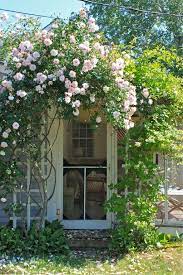 Maybe you would like to learn more about one of these? Flowers Bakery London Ky Pay How To Do Thing