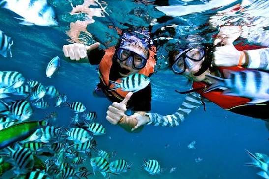 Mantanani Island Snorkeling Tour (with Reviews)
