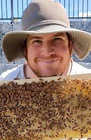 Beekeeper Paul Roder reveals reason for Rockhampton bee swarms