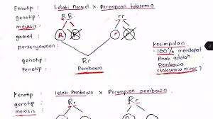 Selari dengan perkembangan pesat teknologi digital, kementerian pendidikan malaysia akan menggunakan teknologi dan kandungan digital dalam dalam. Biologi Tingkatan 5 Bab 5 Youtube