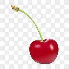 Red Cherry With Leaves Realistic Vecor Hd Cherry Clipart Gourmetred Cherry Beautiful Cherry Png And Vector With Transparent Background For Free Download Clip Art Fruit Vector Leaves Illustration
