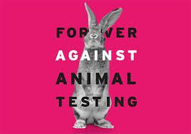 Image result for ending animal testing