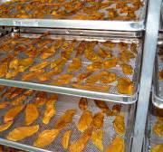 Applications of Heat Pump Drying Technologies for Fruits and ...