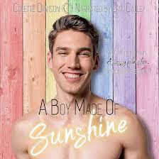 Amazon.com: A Boy Made of Sunshine: A Gay Romance (Audible Audio Edition):  Colette Davison, Dan Calley, Colette Davison: Books