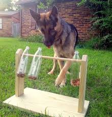 Spin Out Dog Treat Game Dog House Diy Diy Dog Stuff Dog Playground