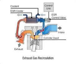 Image result for egr