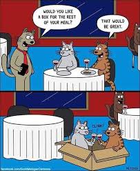 Really funny memes cute funny animals funny animal pictures. I Love Funny Cat Pictures A Lot Home Facebook