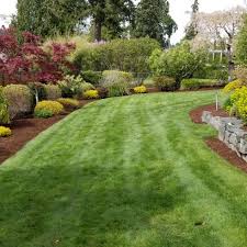 Maybe you would like to learn more about one of these? Top 10 Best Lawn Care Services In Kent Wa Angi Angie S List