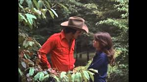 Smokey and the bandit was a 1977 action comedy film with just a touch of romance that starred burt reynolds as the bandit, jerry reed as cledus snowman snow, sally field as carrie or frog, and jackie gleason as sheriff buford t. Smokie And The Bandit The Bandit Jerry Reed Youtube