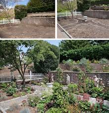 My Before And After Garden Design From Bare Dirt To Plants Galore Gardening Garden Diy Home Flowers Roses Nature Landscapin Garden Design Plants Garden