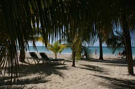 Отель pure garden resort negril 3* негрил ямайка. Charela Inn The Official Website For Charela Inn Negril Jamaica Negril Jamaica Jamaica Outdoor