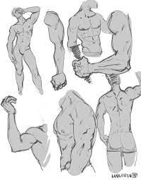 Muscular Male Anatomy Reference Drawing My First Try In Human Anatomy Study Within Zbrush Muscular, spinal and neural factors all affect muscle building. muscular male anatomy reference drawing