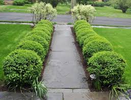 Katyelliott Com Slate Walkway Walkway Landscaping Front Yard Landscaping