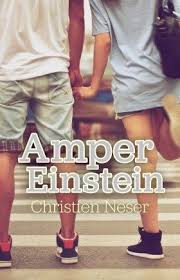 Twee Tienerboeke En Ander Einstein Amper Ebook