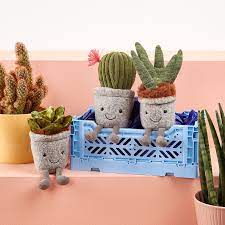 Silly Succulent Plushes Succulent Gifts Plush Succulents