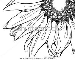 Black And White Sunflower Clipart Free Vector Images Illustrations And Cliparts Sunflower Vector Illustration Sunflower Illustration Sunflower Drawing White Sunflowers