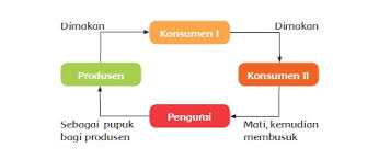 Maybe you would like to learn more about one of these? Materi Dan Kunci Jawaban Tematik Kelas 5 Tema 5 Subtema 2 Halaman 56 58 59 Gawe Kami
