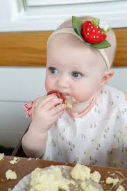 Brennan's Berry First Birthday