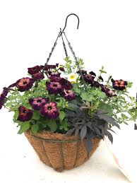 16 inch double tier imperial hanging planter. 16 Sizzle Wire Hanging Baskets Grower S Choice Sun Mix Terra Greenhouses