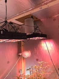 In order to hit the 40 mole level for maximum yield, you want a grow light that emits between 600 umols (for 18 hour veg) and 925 umols (for 12 hour flowering) ppfd of light. 10 Best Led Grow Lights For Cannabis 2020 Complete Buyer S Guide Production Grower