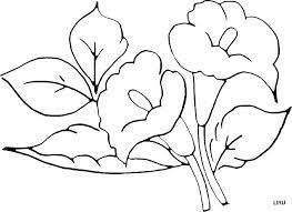 Flores Para Pintar En Tela Recherche Google Pintar En Tela Dibujos De Flores Dibujos