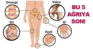 Pin On Saglik