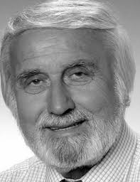 Media Violence and Youth Violence: A 2-Year Longitudinal Study: Journal of  Media Psychology: Vol 20, No 3