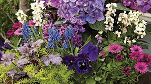 Browse through these creative patio planter ideas and gather options for displaying plants in your yard or home. Easy Spring Container Ideas Garden Gate