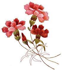 Free Hand Embroidery Pattern Carnations Embroidery Flowers Pattern Paper Embroidery Crewel Embroidery Tutorial
