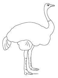 The ostrich coloring pages also available in pdf file that you can download for free. Free Printable Ostrich Coloring Pages For Kids