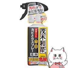 楽天市場】【クーポン配布中】レック 茂木和哉 カビとりジェルスプレー 320ml C00404【SBT】 (6041978) :  おしゃれcafe楽天市場店